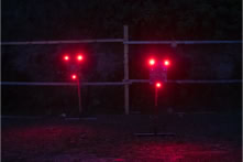 Stell Alive in der Nacht